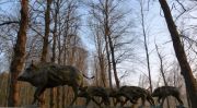 Garde-bescherming is een bronzen beeld van een kudde wilde zwijnen | bronzen beelden en tuinbeelden, figurative bronze sculptures van Jeanette Jansen |